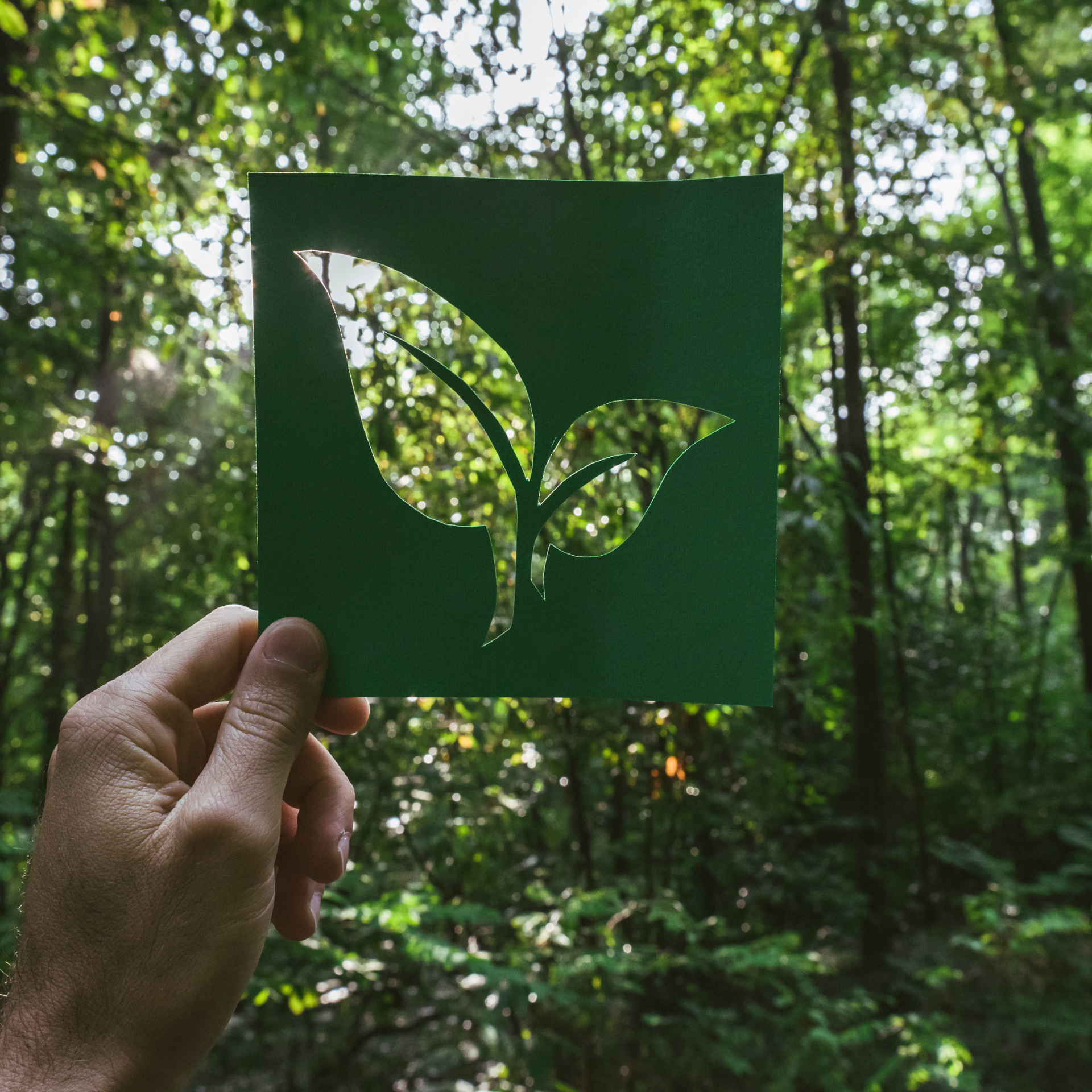 Understanding the True Benefits of Eco Friendly Cleaning